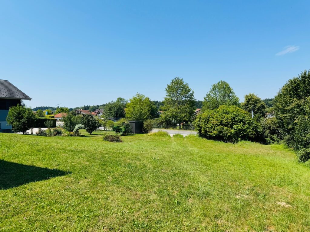 Blick zur Straßenseite 
