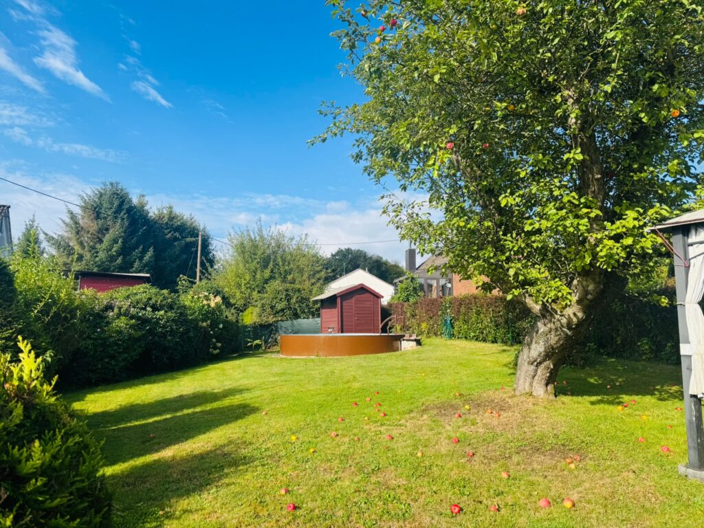 Ansicht Garten